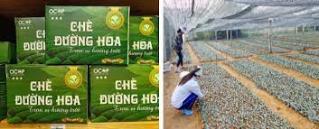 Chè Đường Hoa